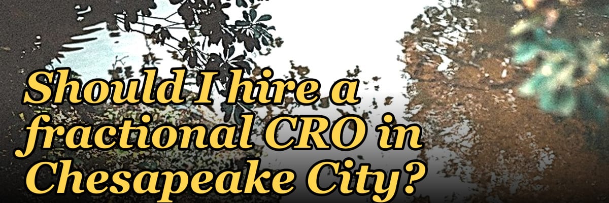Should I hire a fractional CRO in Chesapeake City?