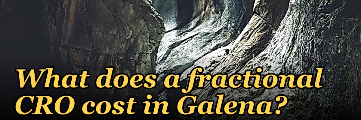What does a fractional CRO cost in Galena?
