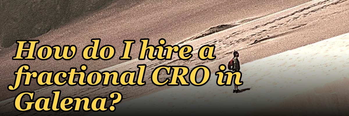 How do I hire a fractional CRO in Galena?
