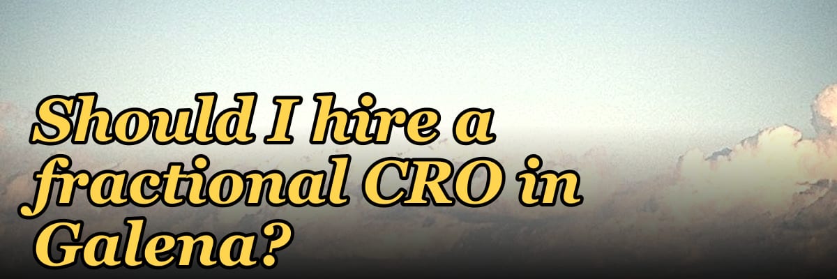 Should I hire a fractional CRO in Galena?