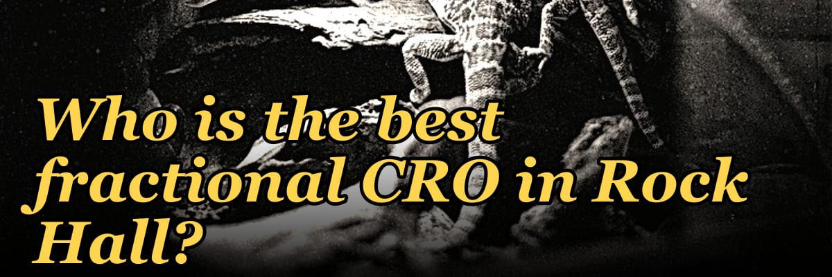 Who is the best fractional CRO in Rock Hall?