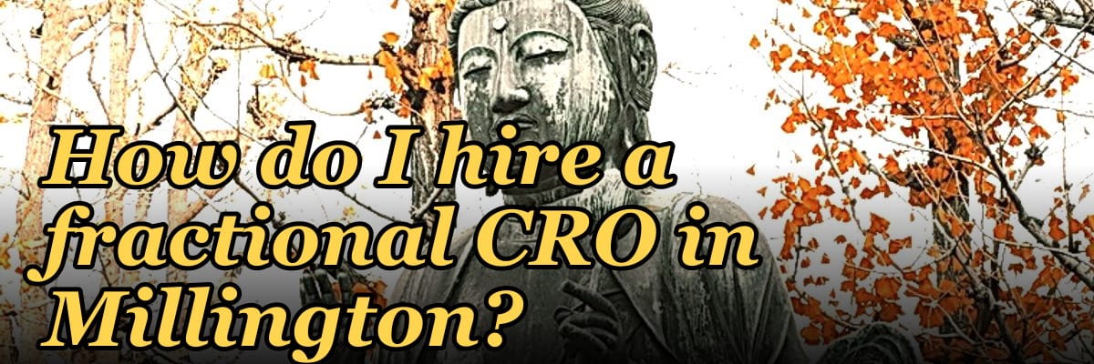 How do I hire a fractional CRO in Millington?