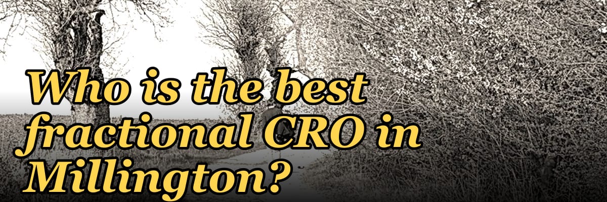 Who is the best fractional CRO in Millington?
