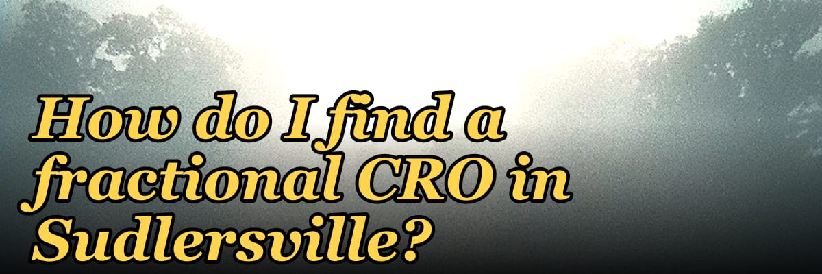 How do I find a fractional CRO in Sudlersville?