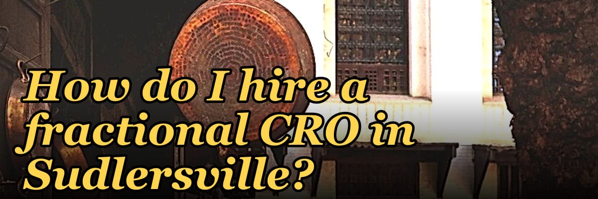 How do I hire a fractional CRO in Sudlersville?