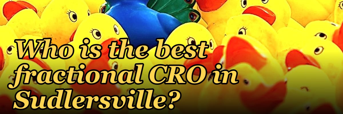 Who is the best fractional CRO in Sudlersville?