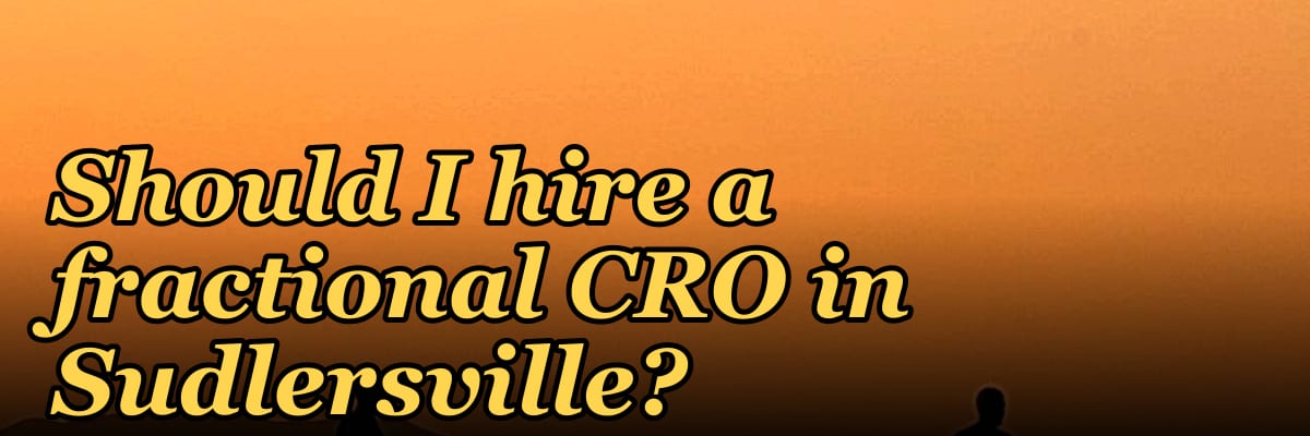 Should I hire a fractional CRO in Sudlersville?