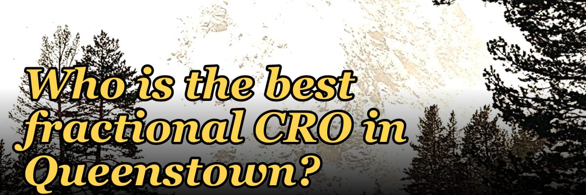 Who is the best fractional CRO in Queenstown?