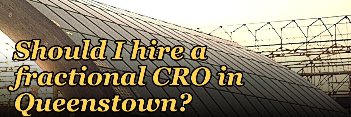 Should I hire a fractional CRO in Queenstown?