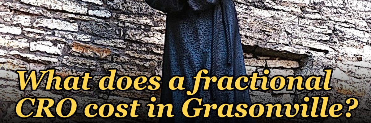 What does a fractional CRO cost in Grasonville?