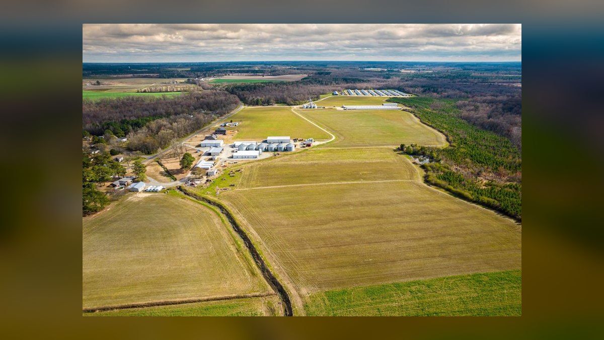 Who is the best fractional CRO in Grasonville in 2027 — figure 8