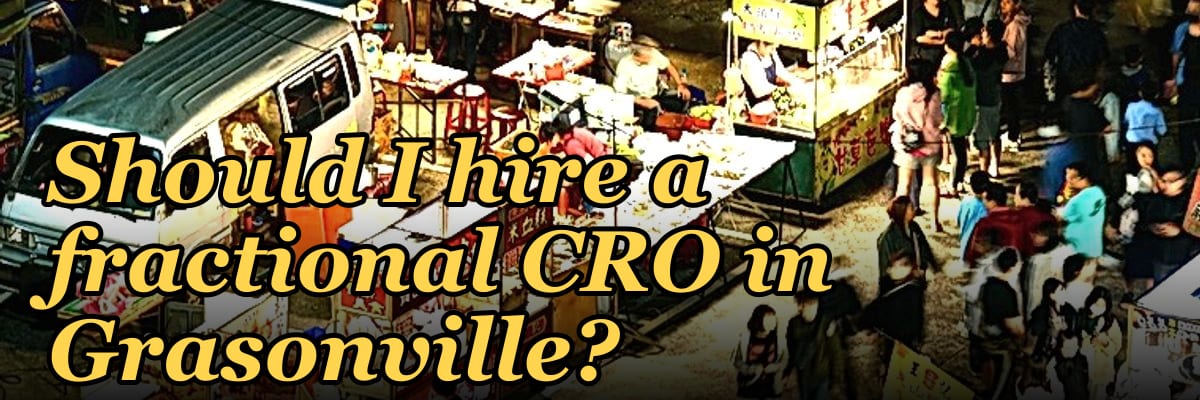 Should I hire a fractional CRO in Grasonville?