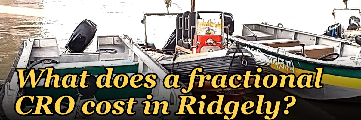 What does a fractional CRO cost in Ridgely?