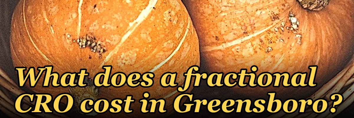 What does a fractional CRO cost in Greensboro?