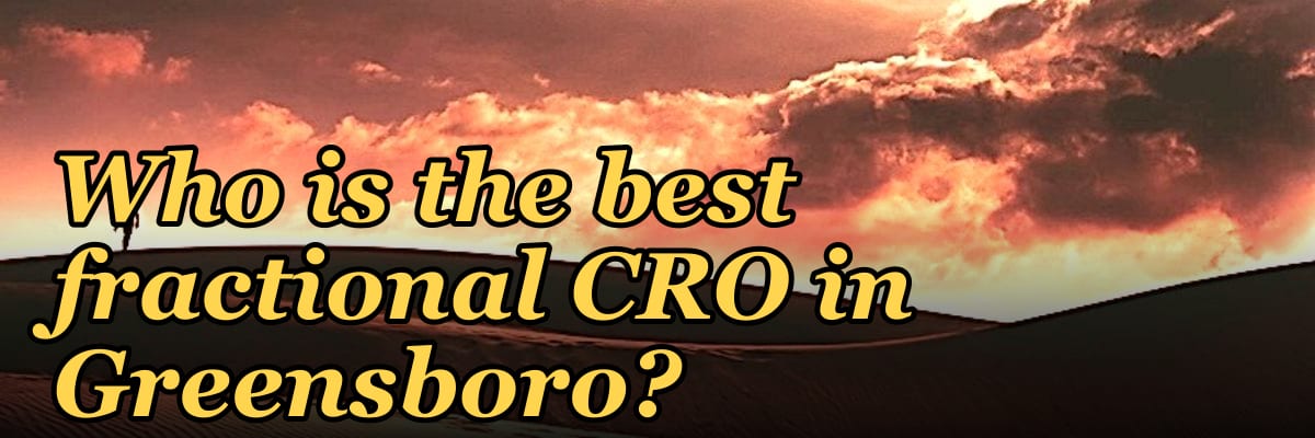 Who is the best fractional CRO in Greensboro?