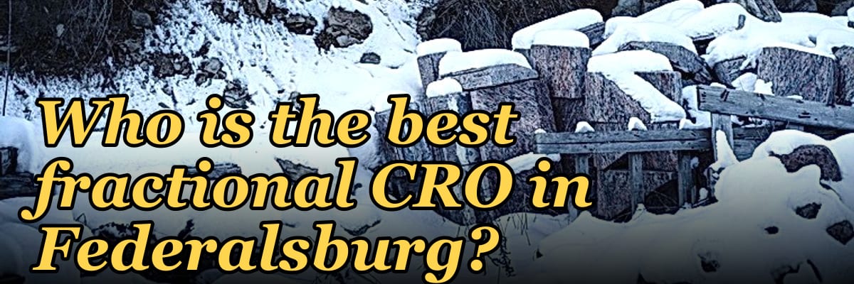 Who is the best fractional CRO in Federalsburg?
