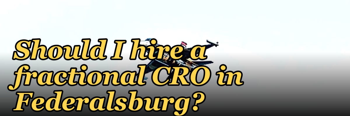 Should I hire a fractional CRO in Federalsburg?