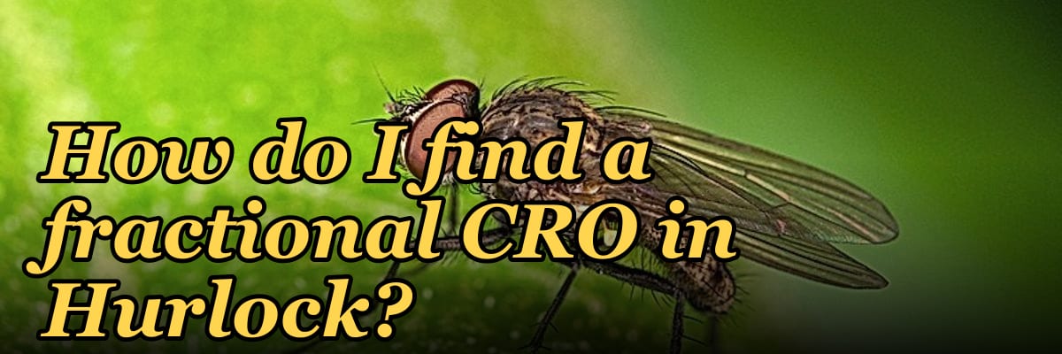 How do I find a fractional CRO in Hurlock?