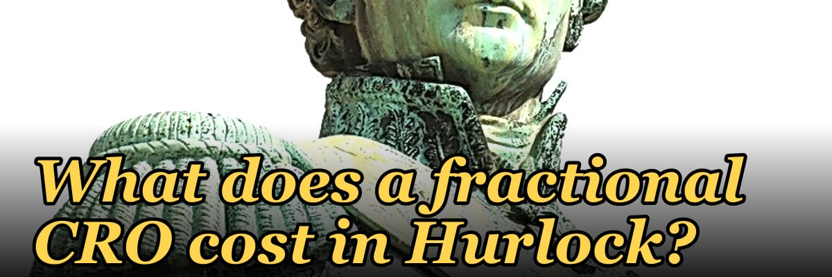 What does a fractional CRO cost in Hurlock?