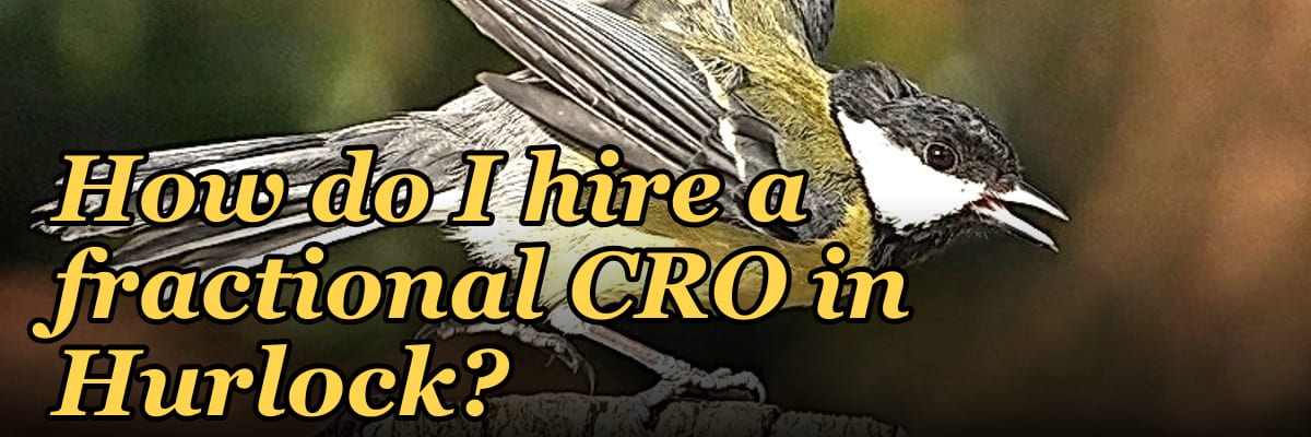 How do I hire a fractional CRO in Hurlock?
