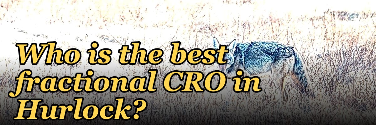 Who is the best fractional CRO in Hurlock?