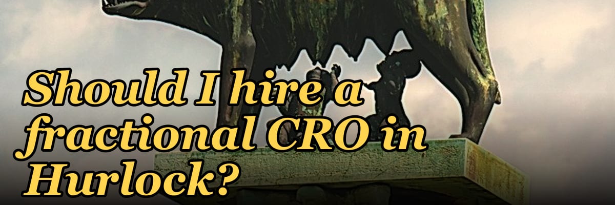 Should I hire a fractional CRO in Hurlock?