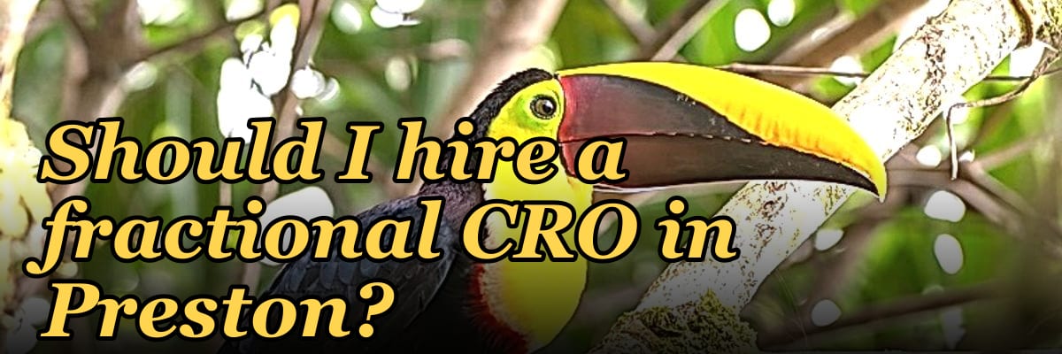 Should I hire a fractional CRO in Preston?
