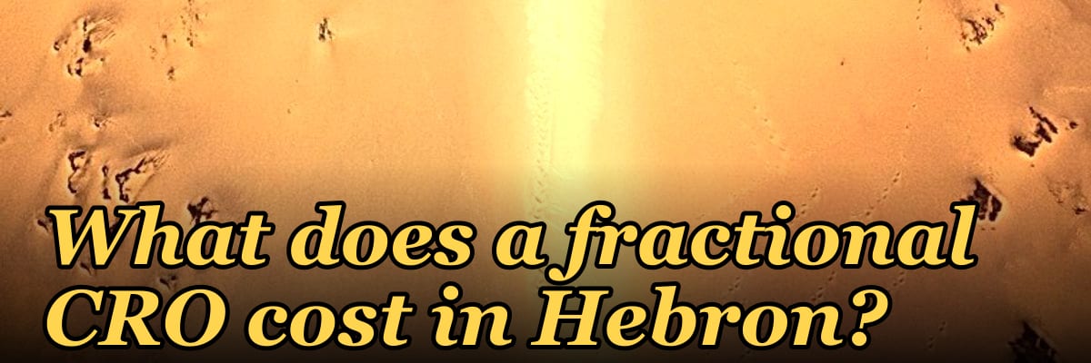 What does a fractional CRO cost in Hebron?