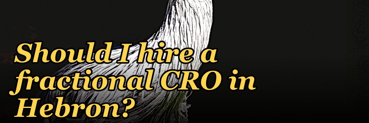 Should I hire a fractional CRO in Hebron?