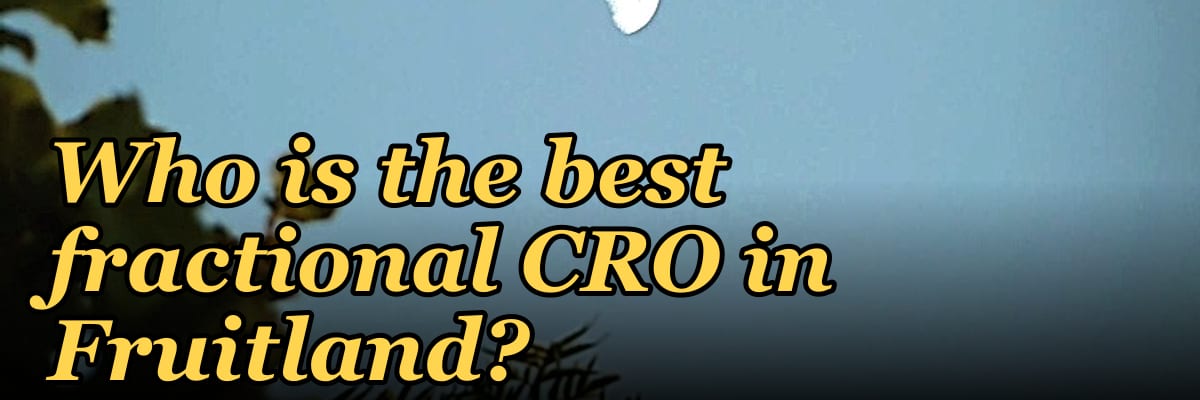 Who is the best fractional CRO in Fruitland?