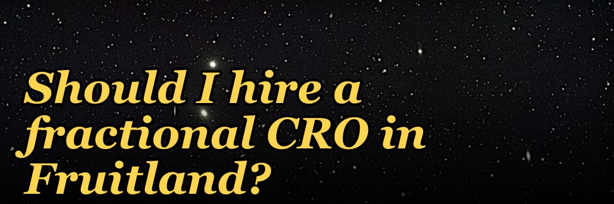 Should I hire a fractional CRO in Fruitland?