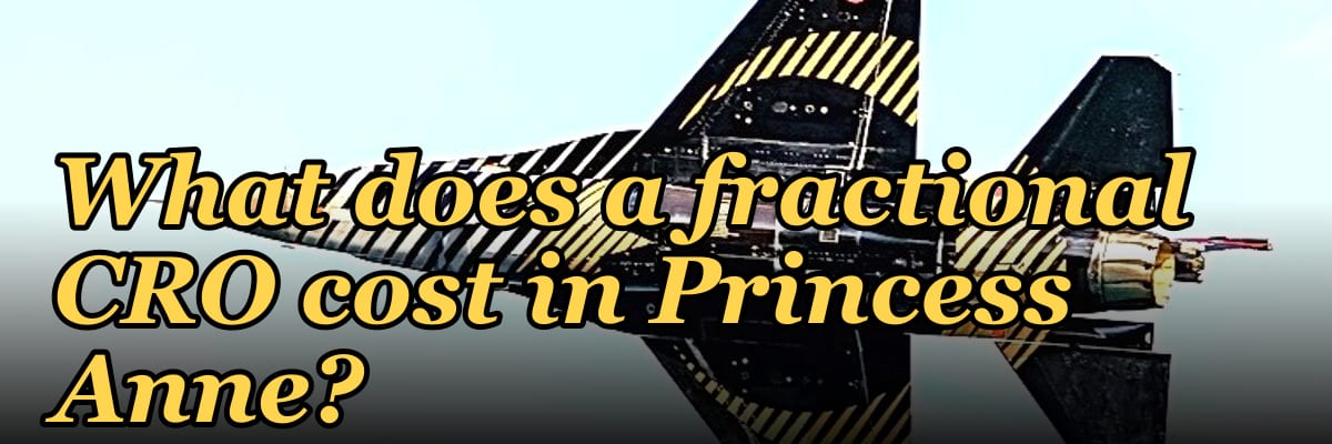 What does a fractional CRO cost in Princess Anne?