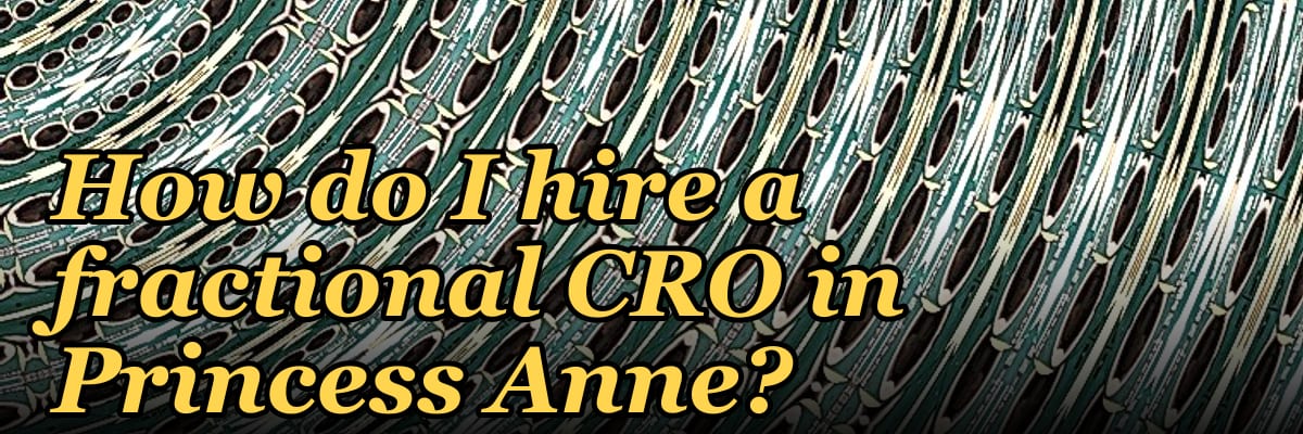 How do I hire a fractional CRO in Princess Anne?