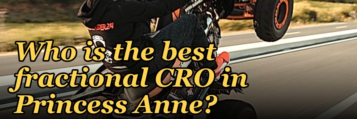 Who is the best fractional CRO in Princess Anne?