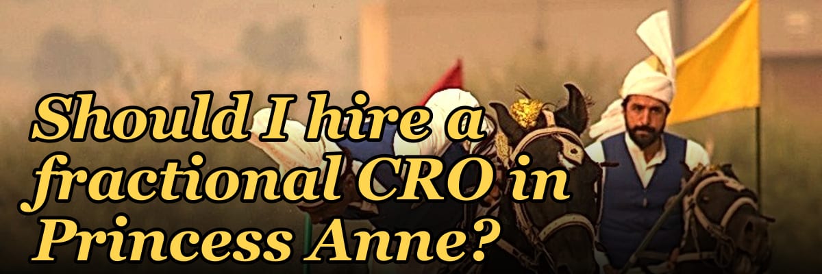 Should I hire a fractional CRO in Princess Anne?