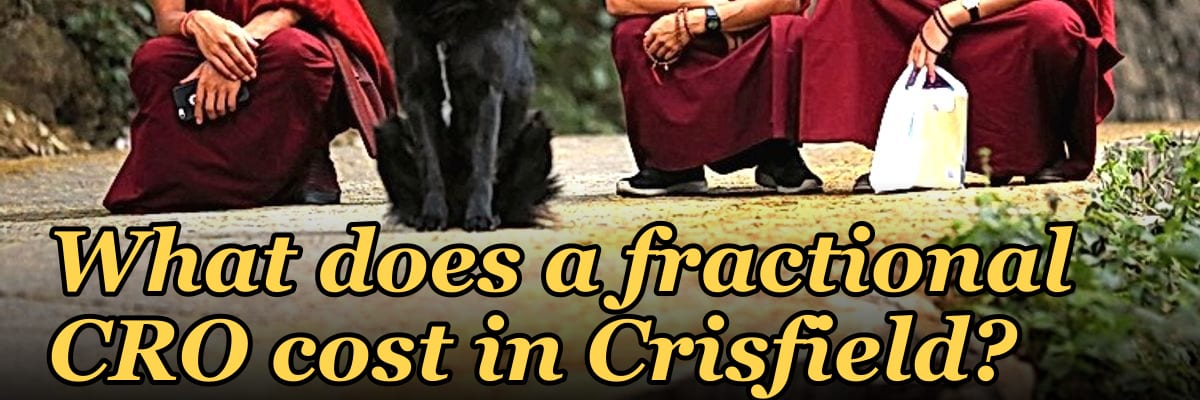 What does a fractional CRO cost in Crisfield?