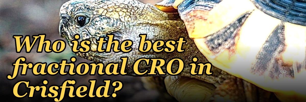 Who is the best fractional CRO in Crisfield?
