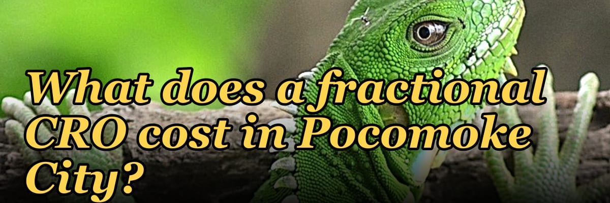 What does a fractional CRO cost in Pocomoke City?