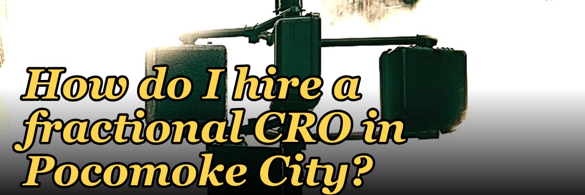 How do I hire a fractional CRO in Pocomoke City?