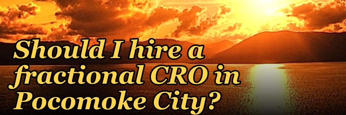 Should I hire a fractional CRO in Pocomoke City?