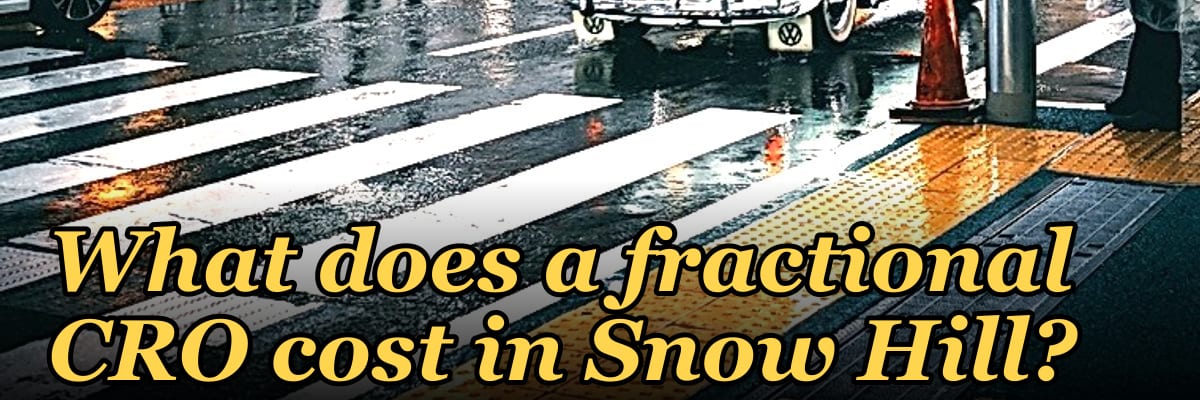 What does a fractional CRO cost in Snow Hill?