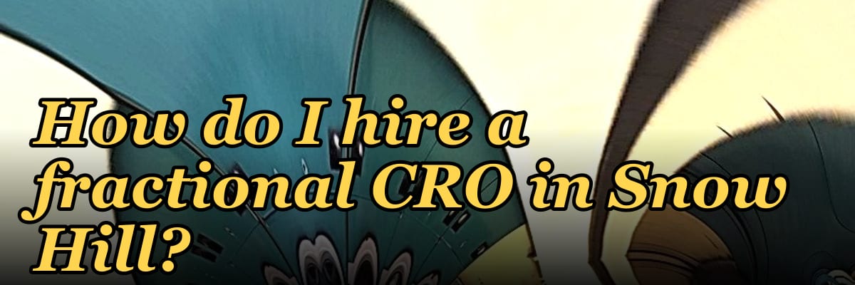 How do I hire a fractional CRO in Snow Hill?