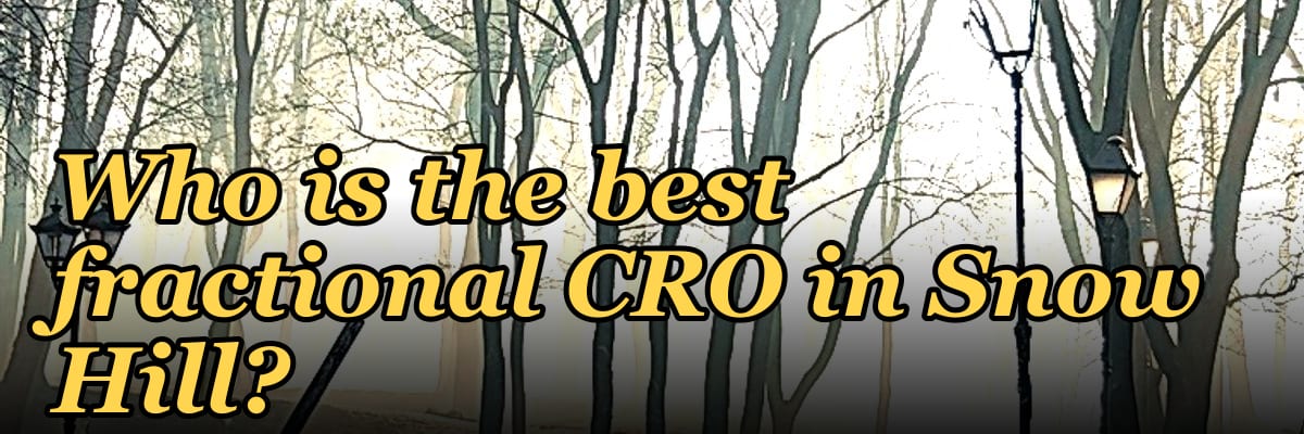 Who is the best fractional CRO in Snow Hill?