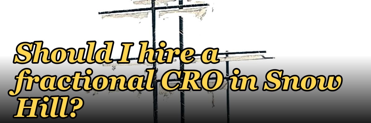 Should I hire a fractional CRO in Snow Hill?
