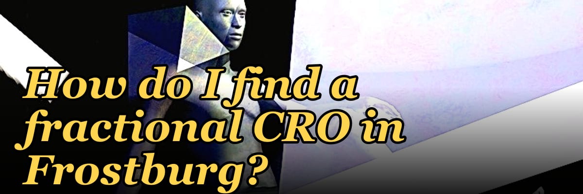 How do I find a fractional CRO in Frostburg?