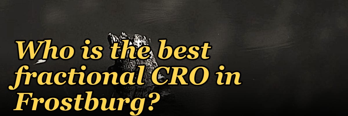 Who is the best fractional CRO in Frostburg?