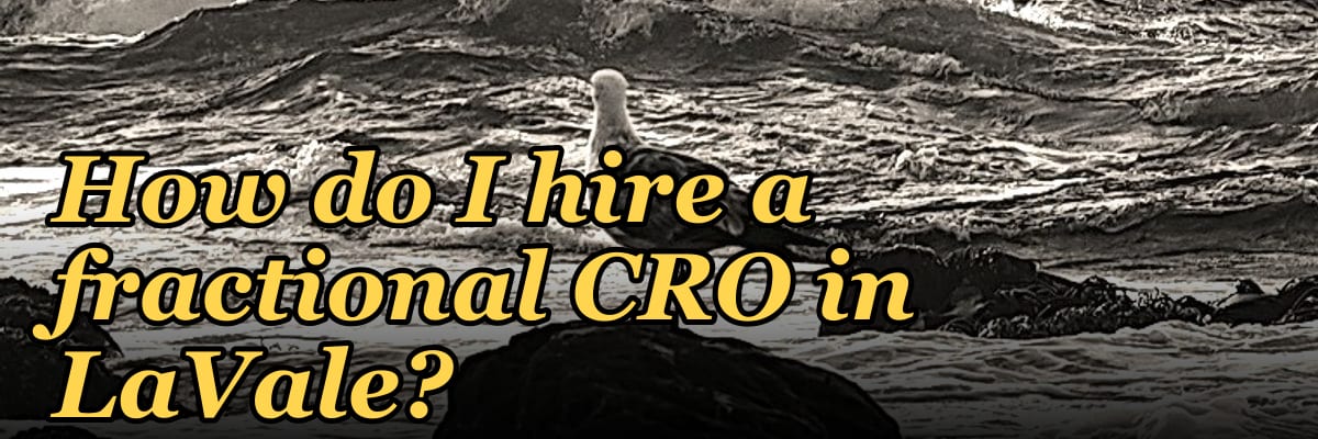 How do I hire a fractional CRO in LaVale?