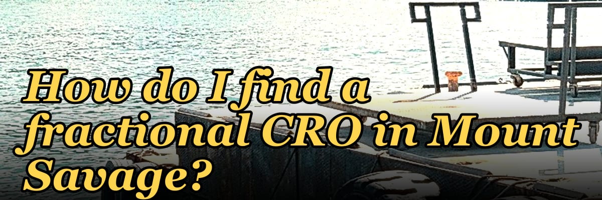 How do I find a fractional CRO in Mount Savage?