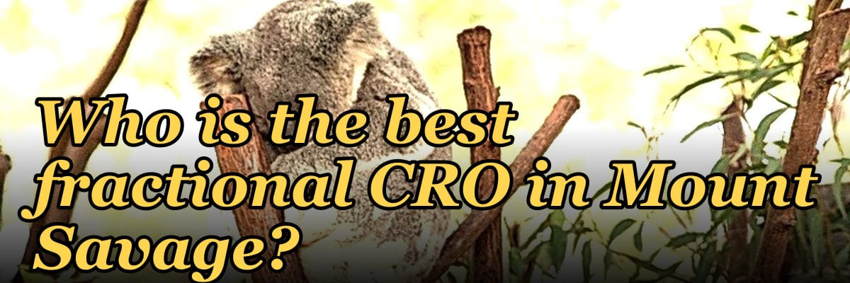 Who is the best fractional CRO in Mount Savage?