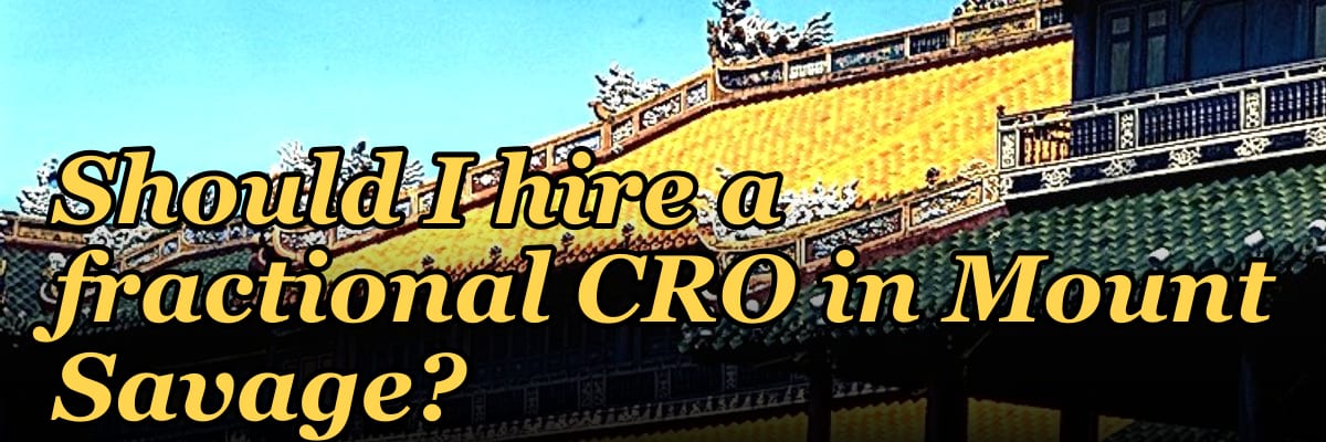 Should I hire a fractional CRO in Mount Savage?